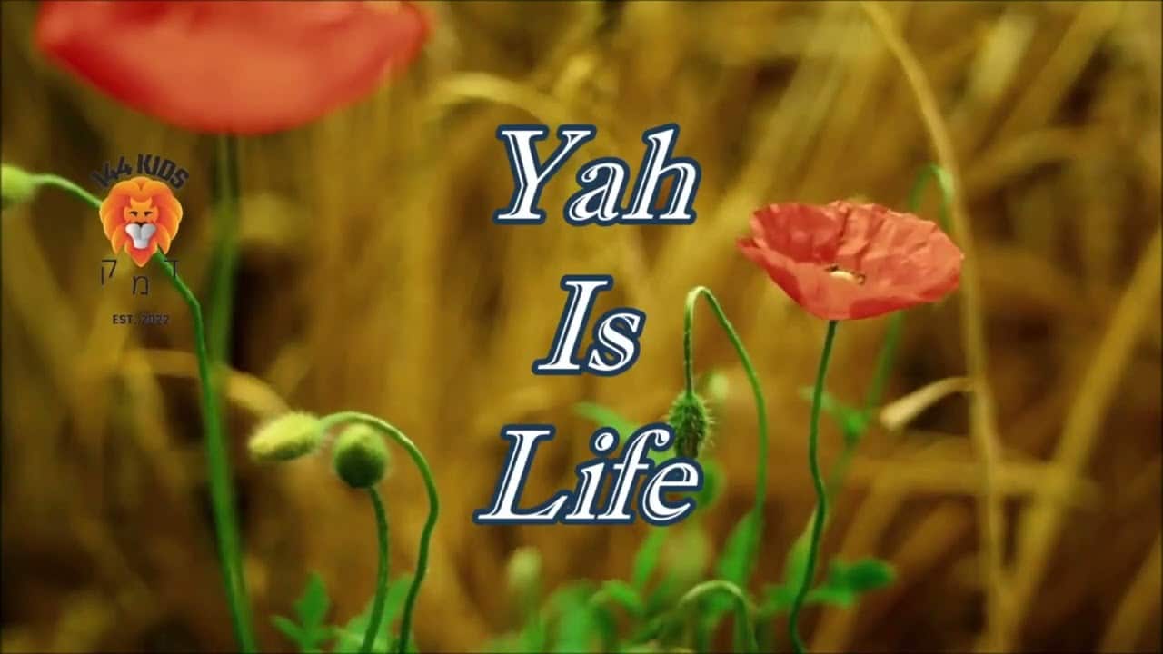 Yah is life – Sounds of Sinai (LYRIC VIDEO)